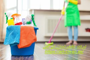 شركات تنظيف المنازل في العين