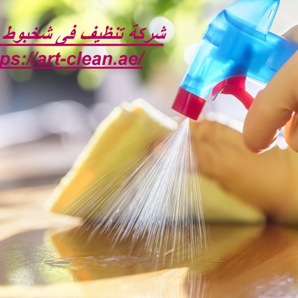 شركة تنظيف فى شخبوط ابوظبى