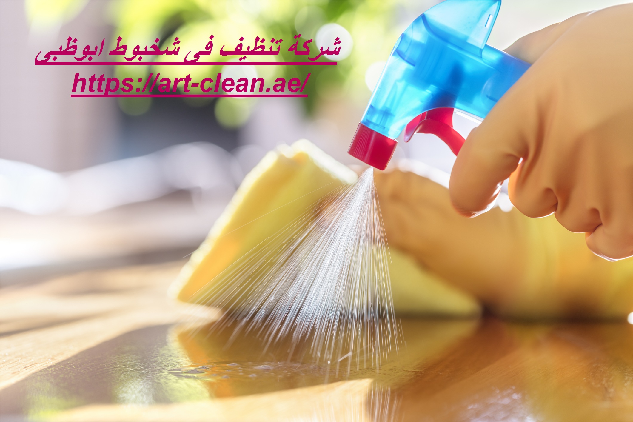 شركة تنظيف فى شخبوط ابوظبى