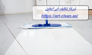 شركة تنظيف في البطين