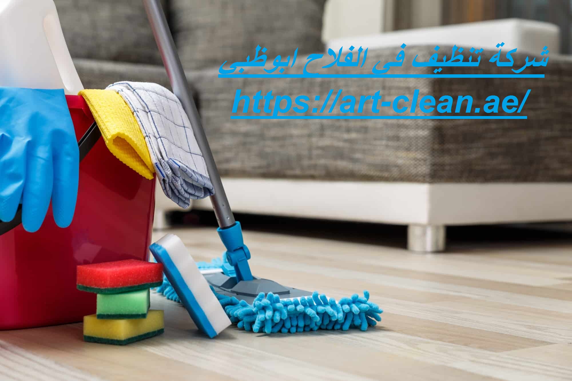 شركة تنظيف في الفلاح ابوظبي