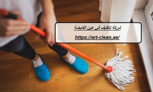 شركة تنظيف في عين الفايضة