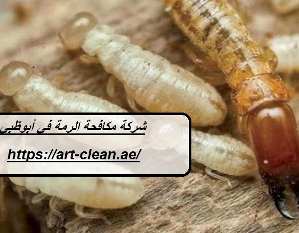 شركة مكافحة الرمة في أبوظبي