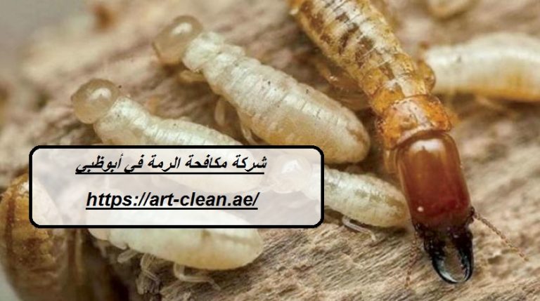 شركة مكافحة الرمة في أبوظبي