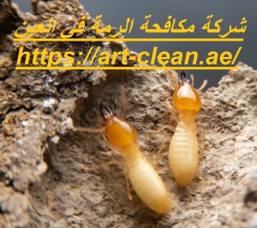 شركة مكافحة الرمة في العين