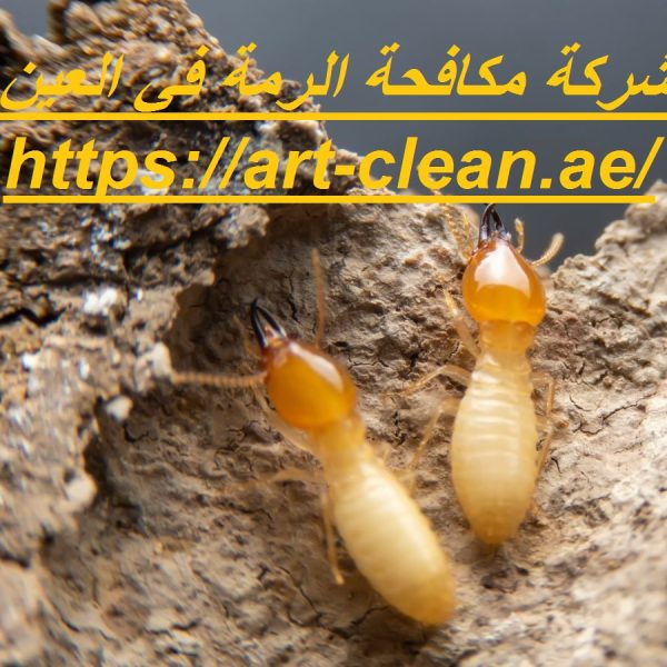 شركة مكافحة الرمة في العين