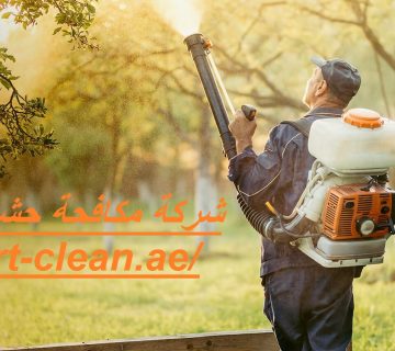 شركة مكافحة حشرات في العين