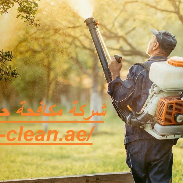 شركة مكافحة حشرات في العين