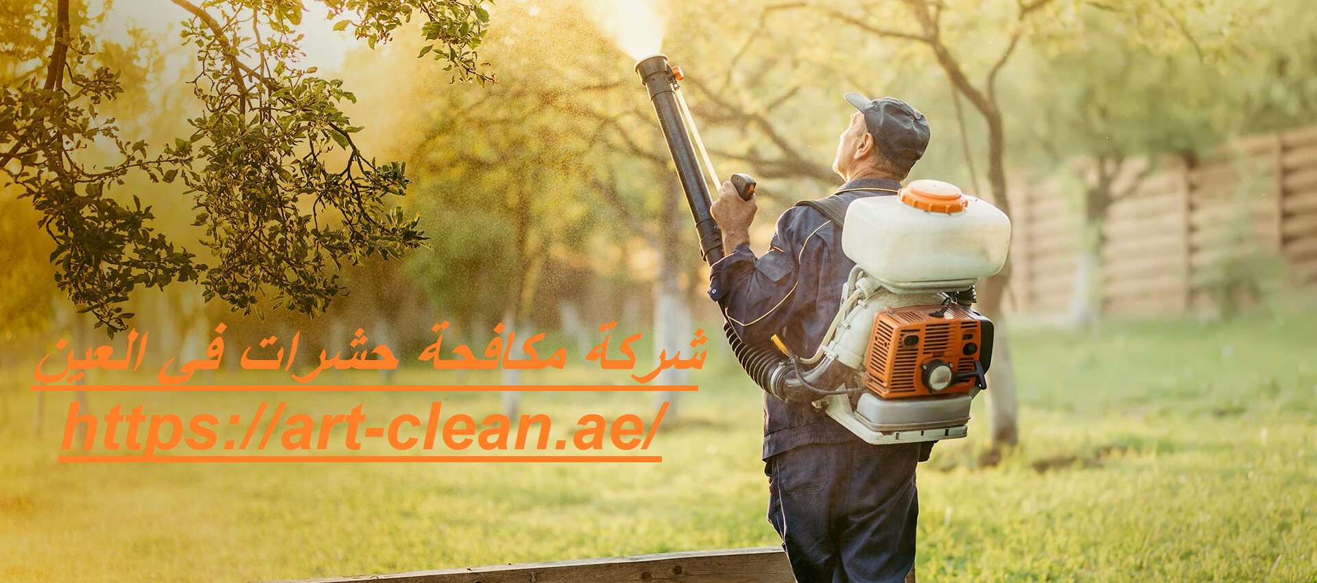 شركة مكافحة حشرات في العين